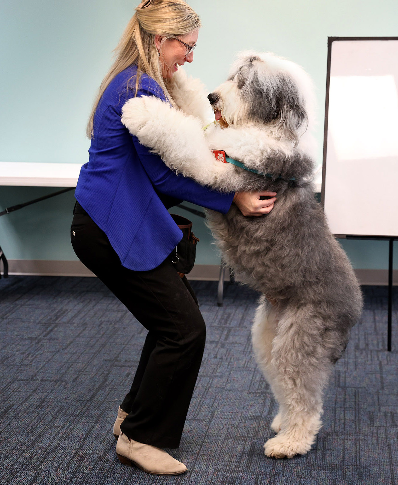 Old English Sheepdog "Baxter" Demonstrates Power of Pet Therapy - News Image